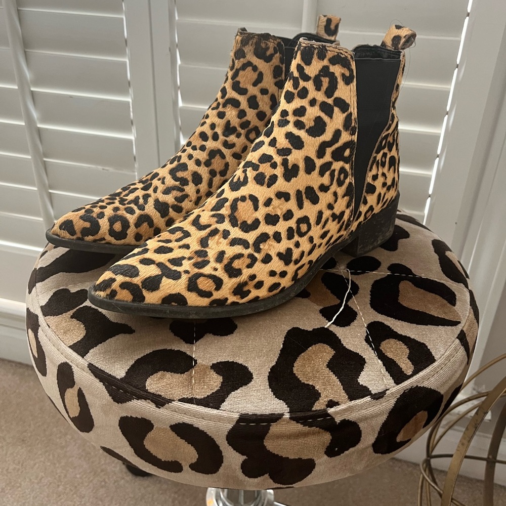 Leopard Print, Pointed Toe Steve Madden Booties - image 2